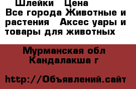 Шлейки › Цена ­ 800 - Все города Животные и растения » Аксесcуары и товары для животных   . Мурманская обл.,Кандалакша г.